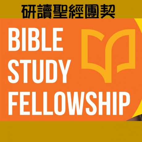 Picture4bsf Picture4bsf